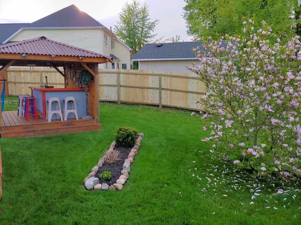 Backyard with gazebo and blooming magnolia tree