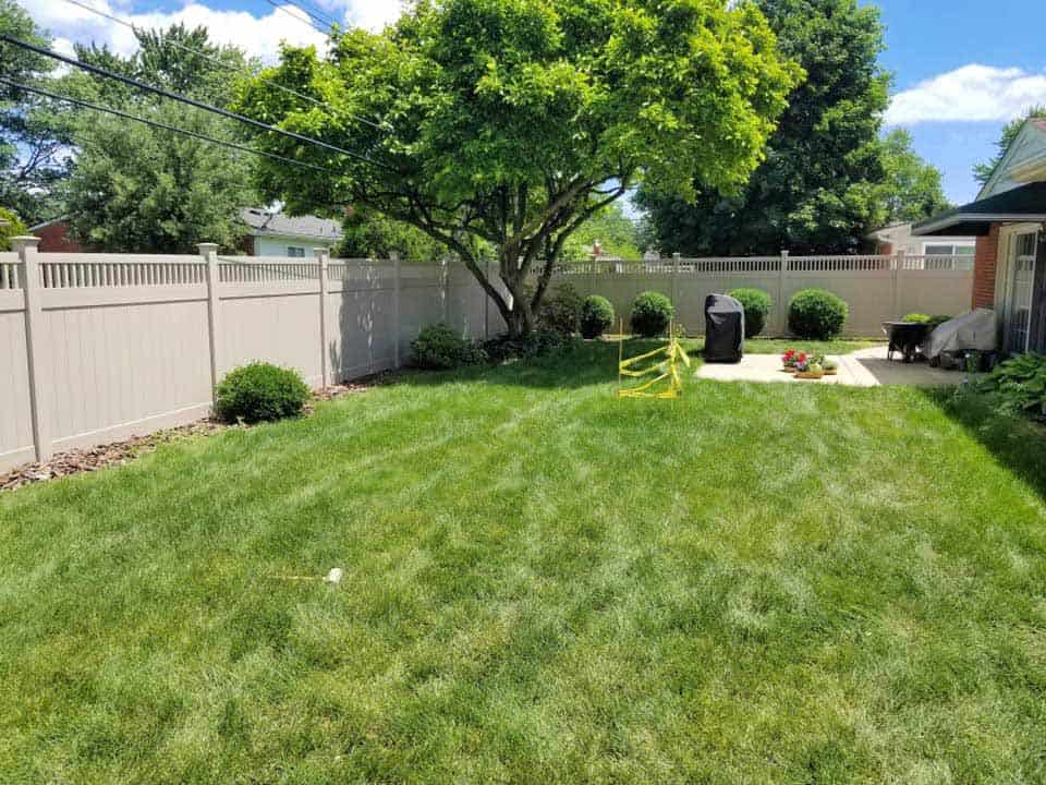 Sunny backyard with lush grass and patio area.