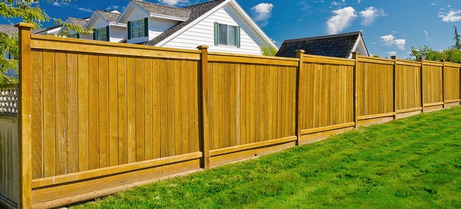 Wooden fence bordering suburban backyard on sunny day